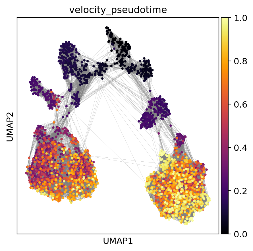 _images/evolocity_nucleoprotein_19_0.png